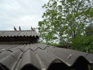 Picture 023