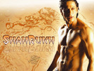 Shahrukh-Khan-Wallpapers-08