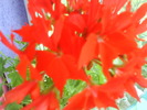 DSC02008