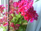 DSC02013