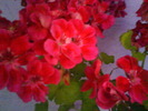 DSC02018