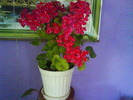 DSC02020