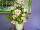 DSC02022