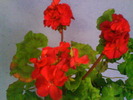 DSC02026