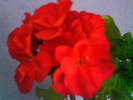 DSC02027