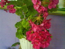 DSC02031