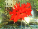 DSC02034