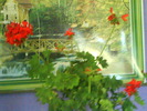 DSC02035