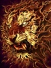 Fire_Lion