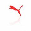 image PUMA