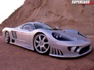 saleen  06