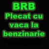 BRB%20Pkecat%20cu%20vaca%20la%20benzinarie
