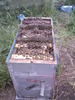 fota2