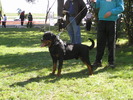 vitan