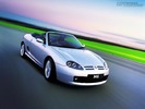2002_MG_TF_01
