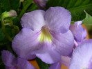 P1260352