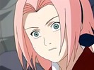 naruto_sakura0113