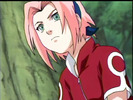naruto_sakura0173
