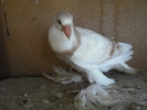 DSCF0139