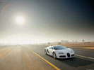 Bugatti-Veyron_2009_1280x960_wallpaper_07