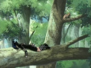 naruto_sasuke0347
