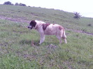 Fotografii-0182