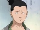 pict of Nara Shikamaru