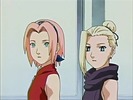 Sakura & Ino poster