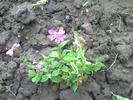 PICT0027
