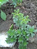 PICT0028