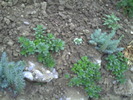 PICT0030