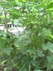 PICT0032