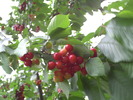 PICT0046