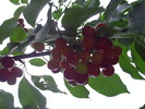 PICT0047