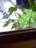 PICT0008