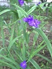 PICT0012