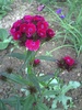 PICT0013