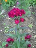 PICT0018