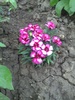 PICT0019