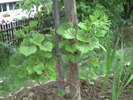 PICT0034