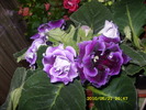 SDC12877