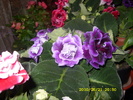 SDC12890