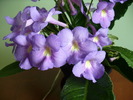 P1260455