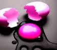 imagesCAPJCPKW