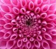 imagesCAUGR3AE