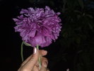 220520103137