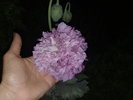 220520103135
