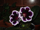 22.05.2010