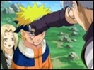 capture30