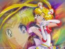 Sailor_Moon_1248783633_0_1995